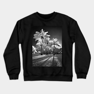 A shining Crewneck Sweatshirt